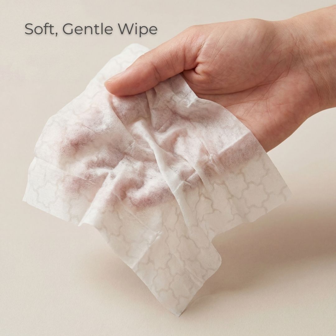 STAY FRESH Biodegradable and Flushable wipes - 60 WIPES