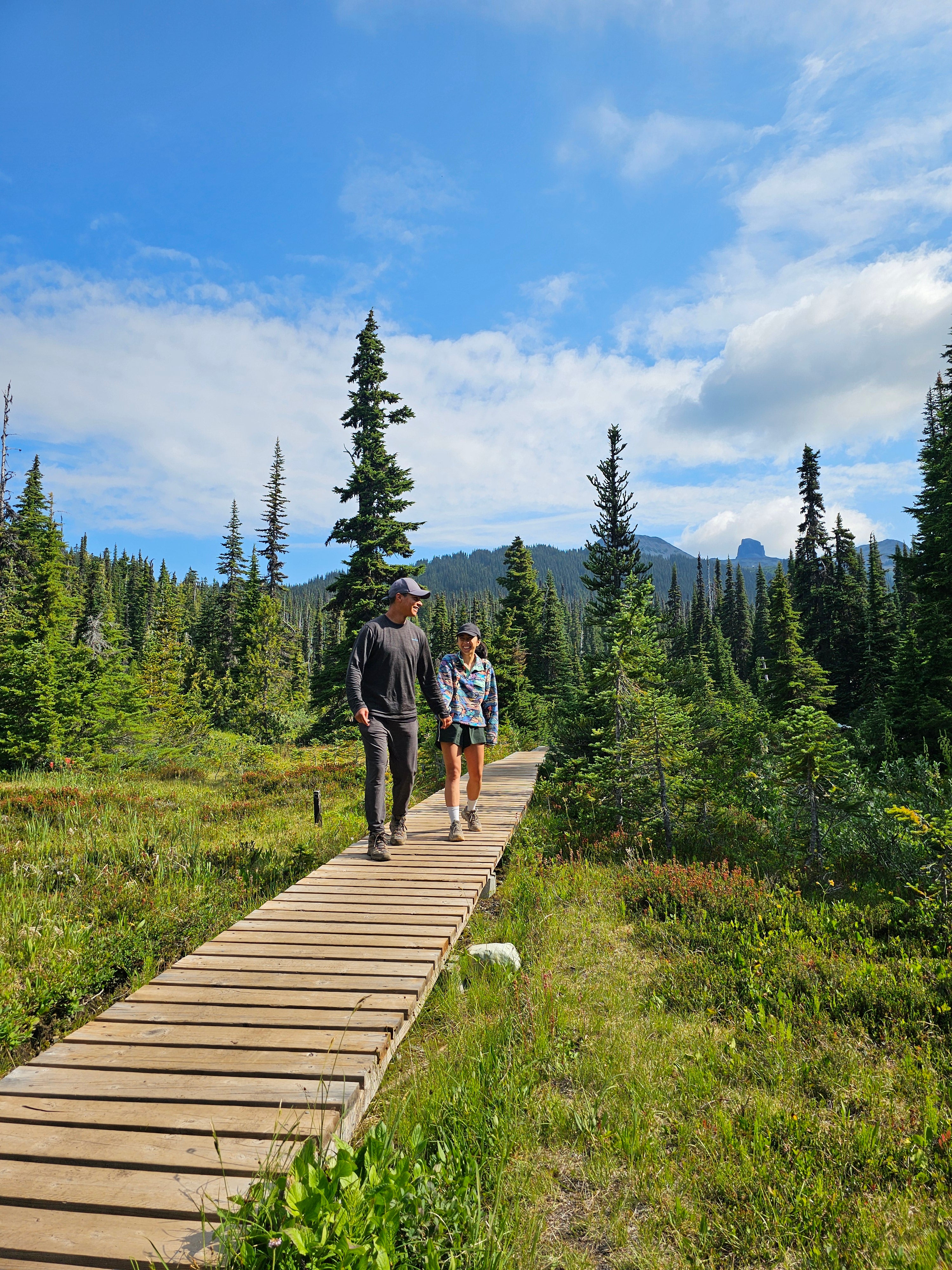 Mountain Fresh Naturals — our story